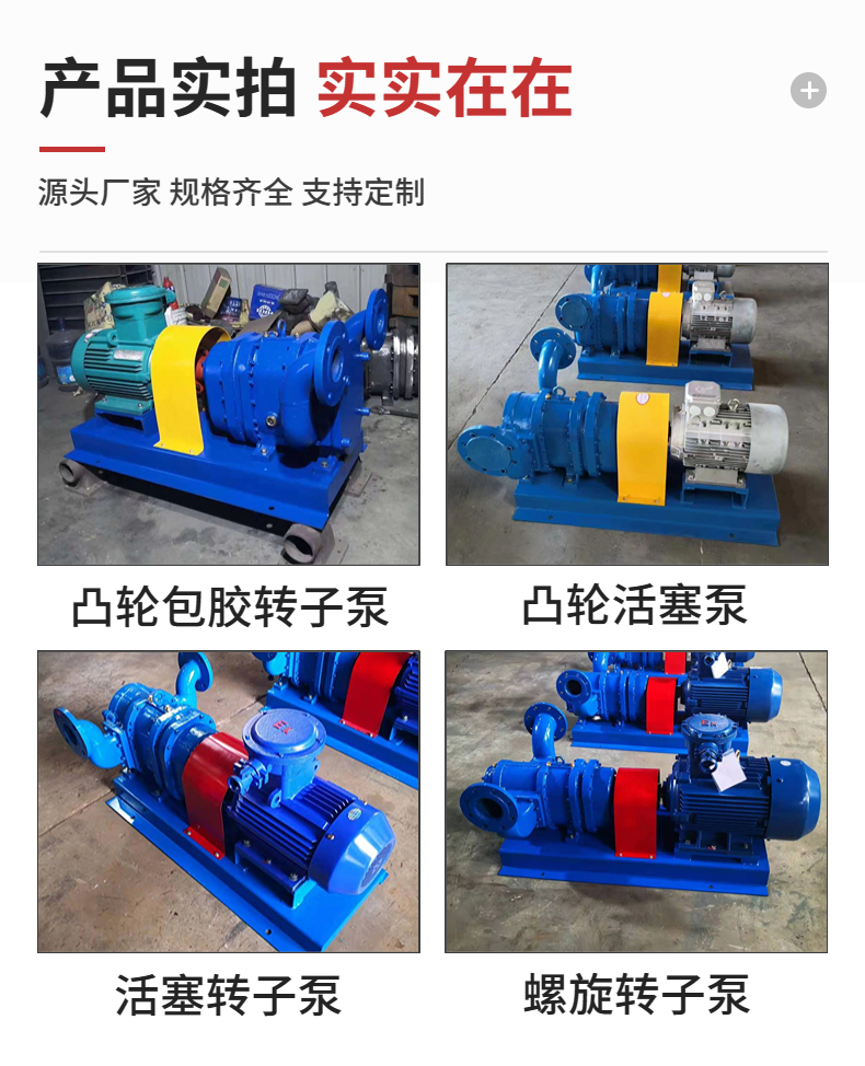 Wholesale LZB piston rotor pump, rubber coated cam pump, cast iron spiral sludge pump by manufacturer