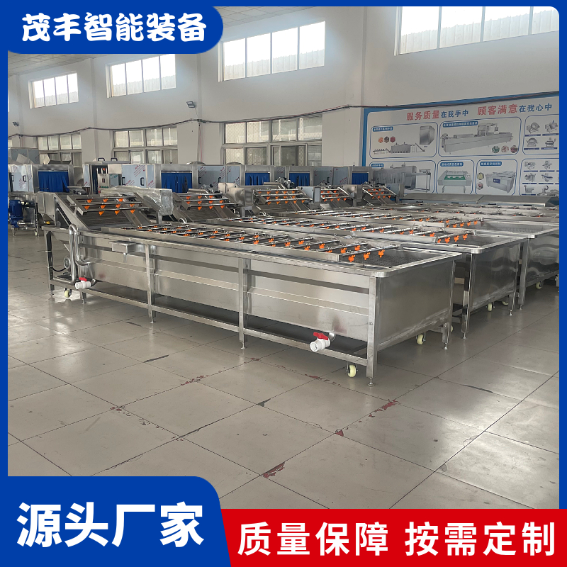 Jujube bubble cleaning spray equipment Bubble cleaning machine Plate and belt type wave cleaning assembly line