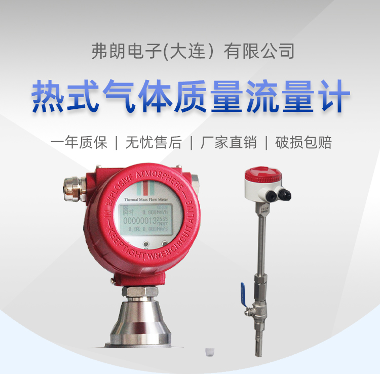 Thermal Gas Mass Flowmeter FT-01 Pipeline Insertion Compression Meter