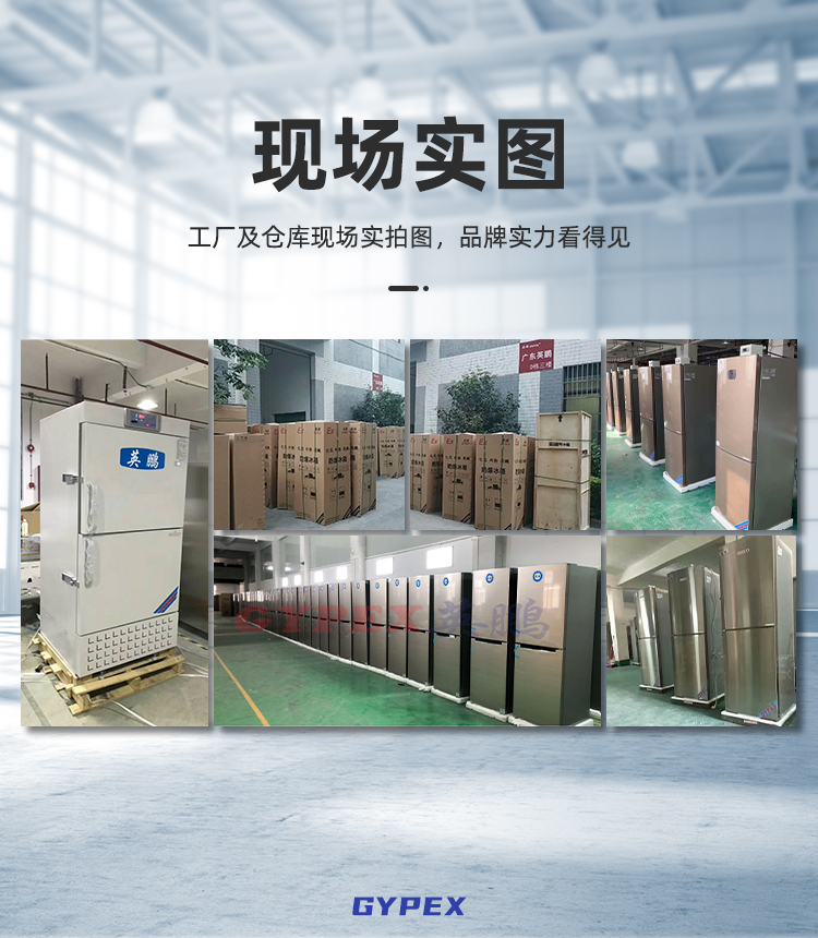 Yingpeng Explosion proof Refrigerator University Laboratory Chemical Reagent Refrigeration and Freezing Single Door BL-200DM200L