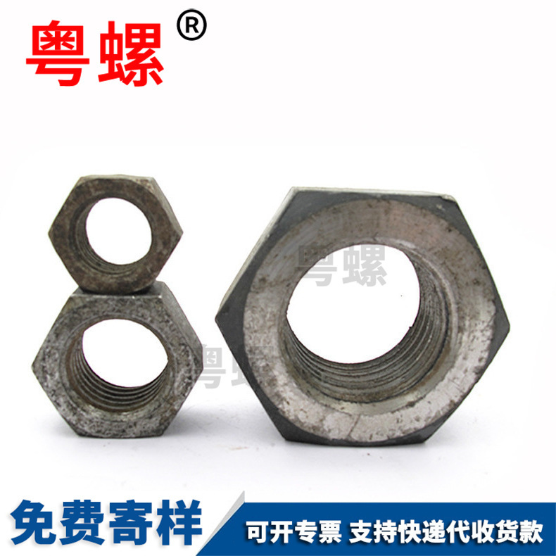 Guangdong Screw Wholesale Wall plug, car repair, gecko tension screw, elevator Wall plug