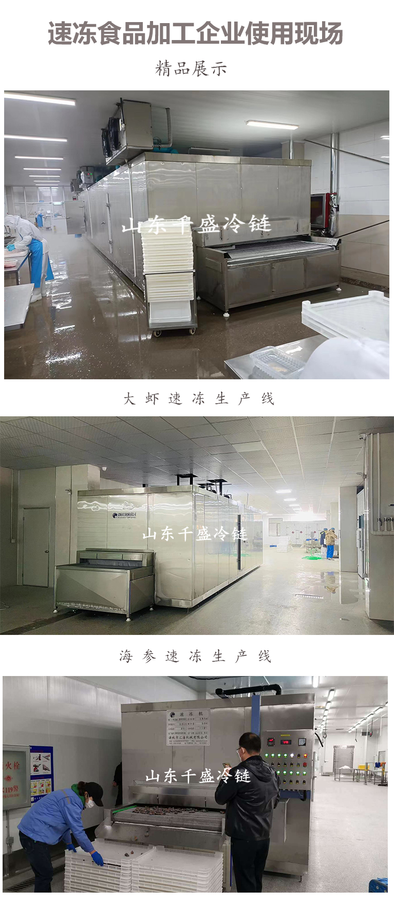 Instant Sea Cucumber Tunnel Type Quick Freezer Multifunctional Single Freezer Winged Fruit and Vegetable Low Temperature Quick Freezing Equipment