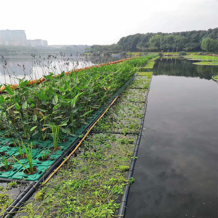 河道生态浮床水上植物种植浮板复合纤维浮动湿地 人工浮岛安装简便约20.00元(图9)