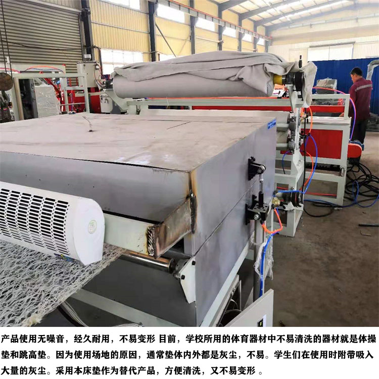 POE/EVA Polymer Mattress Equipment PE Sheet Production Line Newly Produced by Zhongnuo