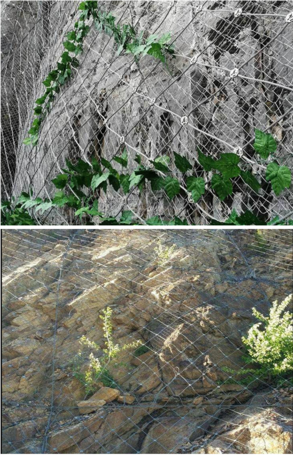 Active slope protection net galvanized flexible steel wire rope diamond net CN/06/300 mountain tunnel stone blocking net