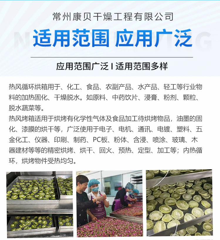 Chemical and pharmaceutical hot air circulation oven, multifunctional electric drying machine, agricultural and sideline product blast drying equipment, Kangbei