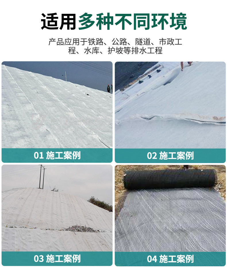 Manufacturer provides HDPE three-dimensional composite drainage network for landfill site, 6mm tunnel, railway polyethylene filtration