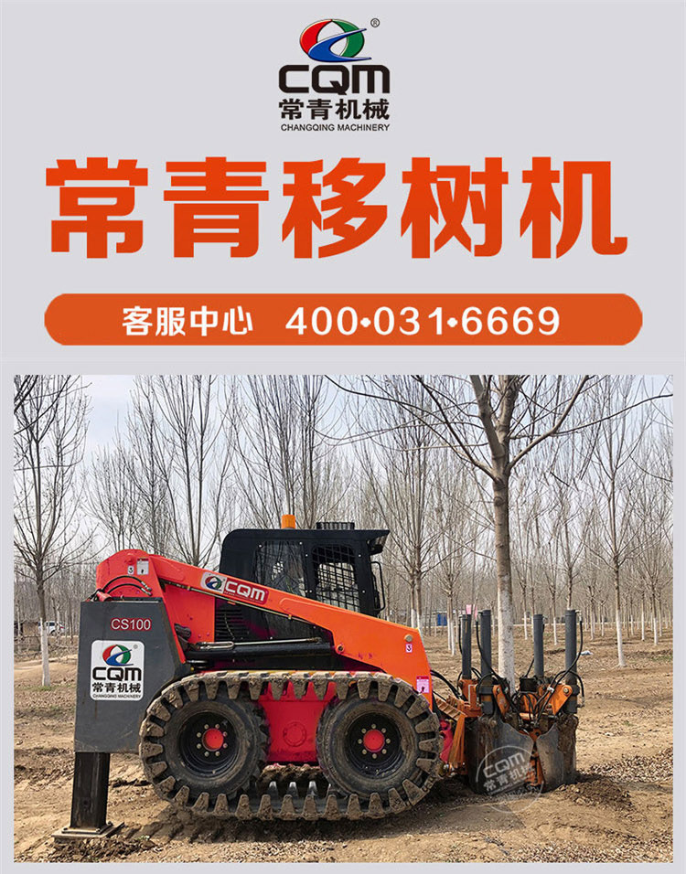 Large shovel tree excavator with soil ball and compact structure for continuous operation