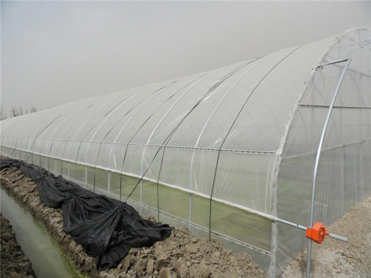 Shuaifeng Greenhouse Plastic Greenhouse Film Greenhouse Film PE Transparent Film Manufacturer Long term Cooperation Purchase by Phone