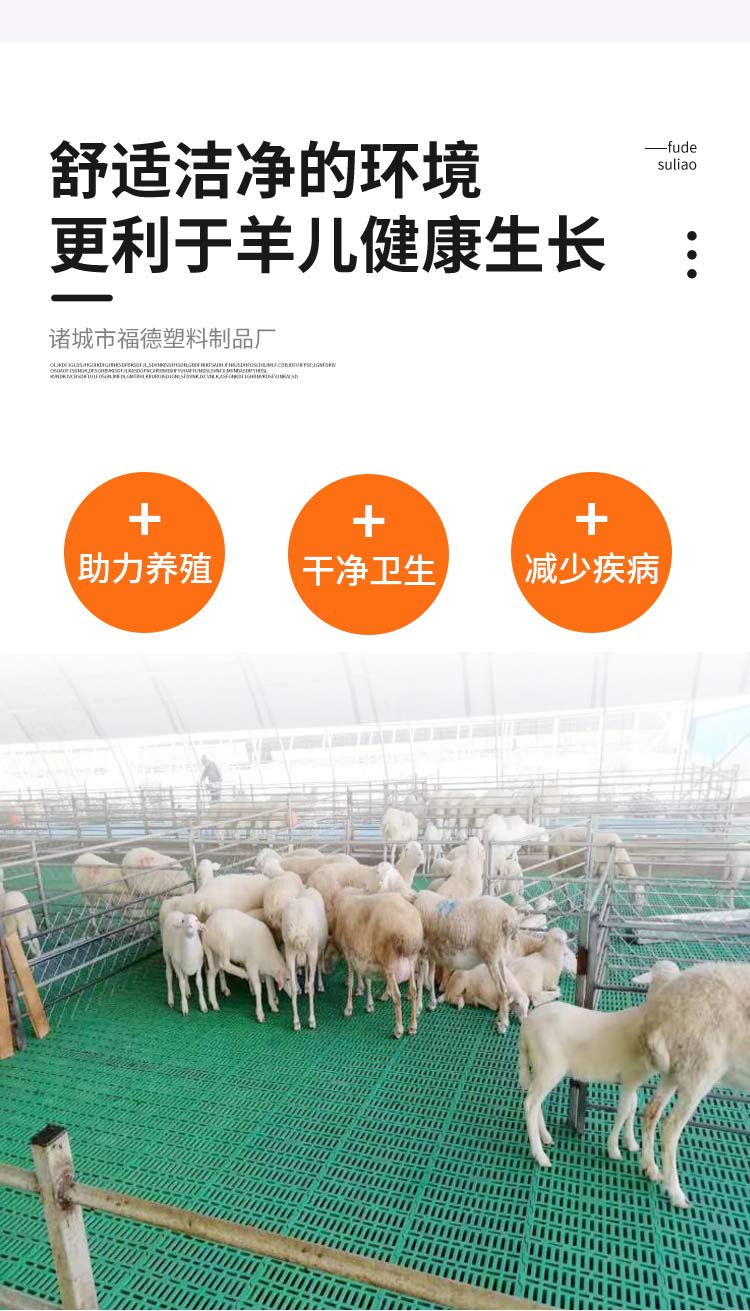 Sheep bed fecal leakage board Sheep pen Sheep shed thickened plastic fecal leakage floor Sheep production bed fecal leakage board