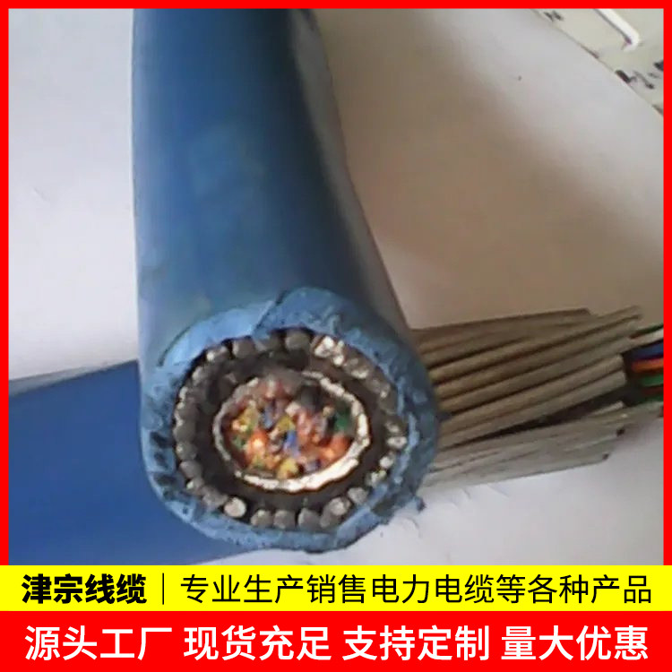 MHYVP煤矿用信号电缆 通讯工具专用 防水防晒 津宗