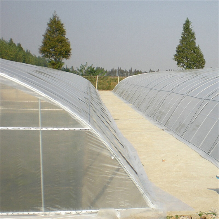 Shuaifeng Agricultural Greenhouse Film Polyethylene (PE) Greenhouse Film Vegetable Film Greenhouse Manufacturer Wholesale Customization