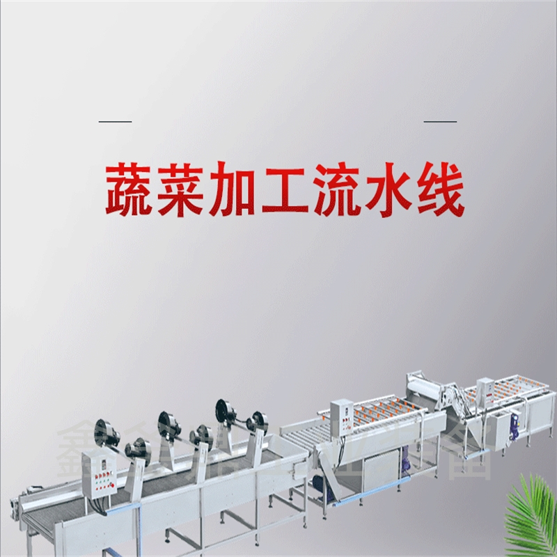 Spot sour bean cleaning machine, customized tea cleaning equipment, pickled vegetable processing and production line