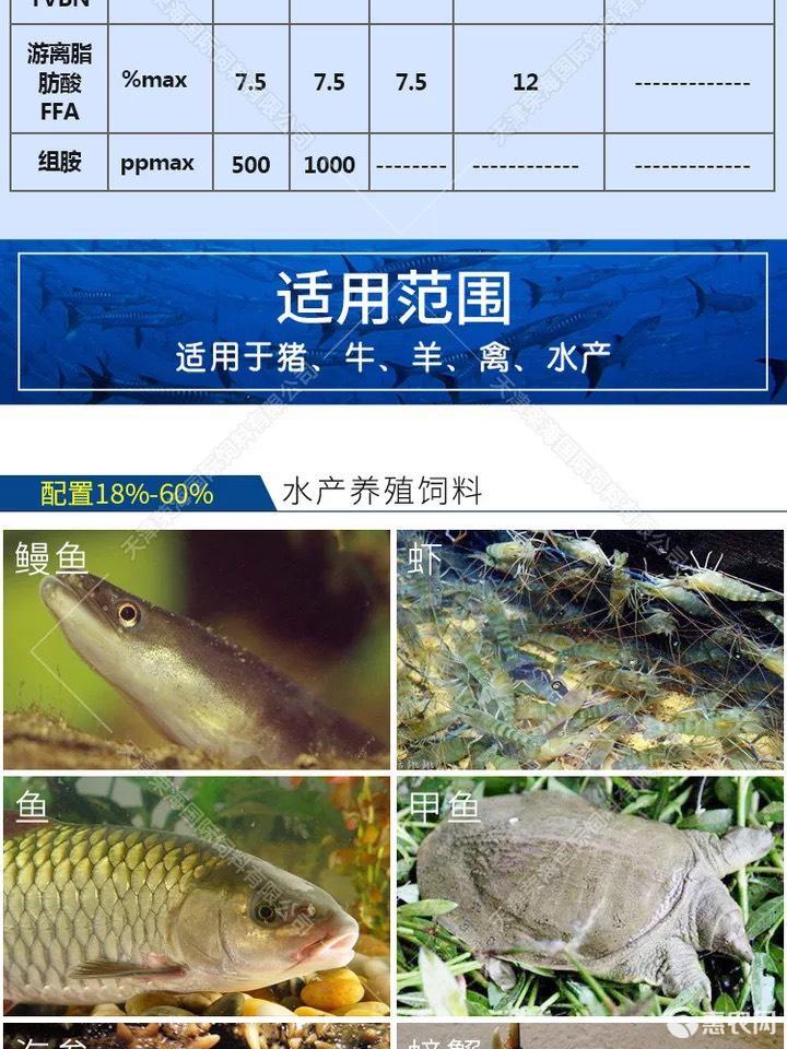 Feed Fish Meal Aquatic Frog Fish Shrimp Poultry Animal Pig Chicken Nutritional Raw Materials