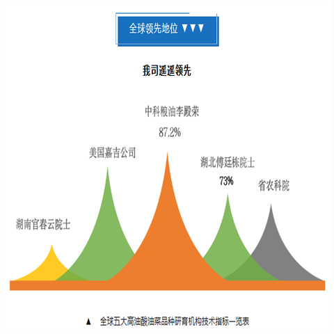 Dragon Boat Festival Mid-Autumn Festival Spring Festival gifts Employee benefits high oleic oil quality beyond olive oil health benefits