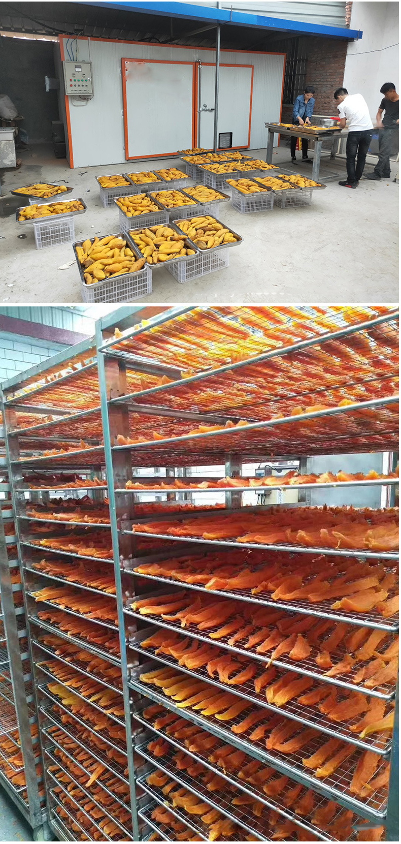 Huazhong Dried Fruit and Vegetable Food Traditional Chinese Medicine Drying Machine Fully Automatic Drying Equipment Hot Air Circulation Drying Room