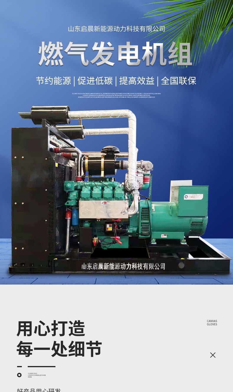 Oil Field 250kw Natural Gas Generator Set Petroleum Associated Gas Liquefied LPG and Other Gas Power Generation Equipment