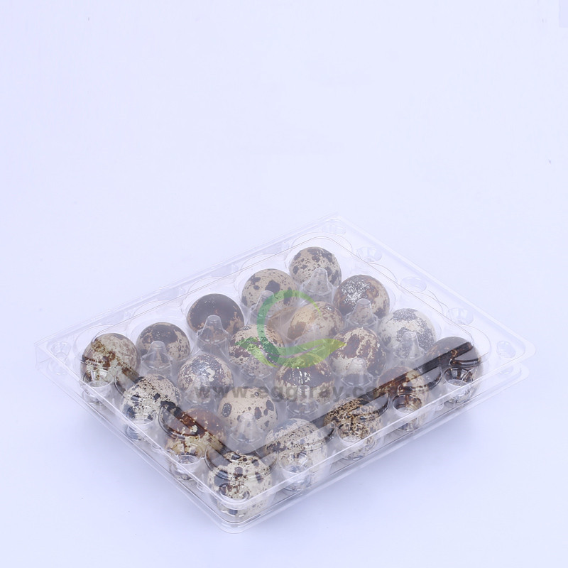 Disposable transparent egg holder plastic packaging box Duck egg holder Quail eggs holder pigeon egg holder 10 egg holders