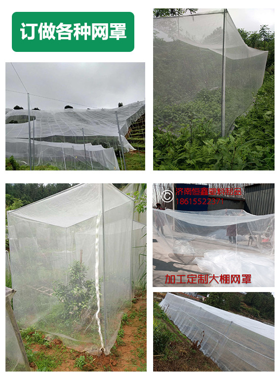 Fruit tree greenhouse insect prevention net cross-border plant greenhouse vegetable nylon net bag grasshopper frog breeding net cover polyethylene