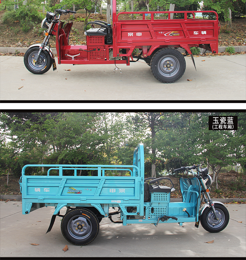 Zongshen brand ZONSEN TL5 Fantasy Ruizheng tricycle Guosi air-cooled brake