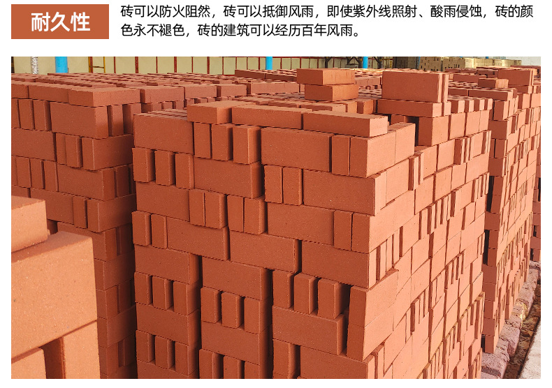 Ceramic clay sintered brick, red 200x100x50, garden floor tile, sidewalk tile, good flatness