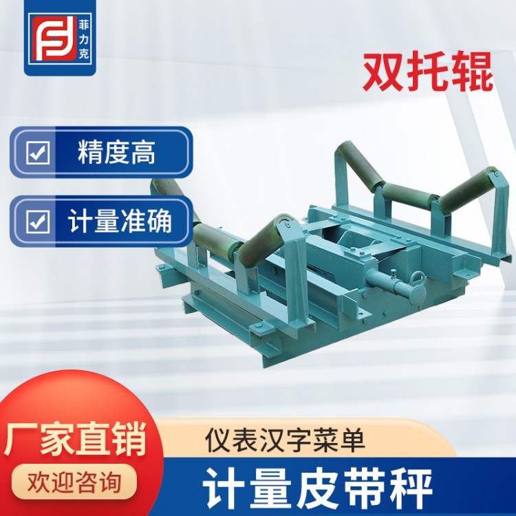 高精度电子计量皮带秤 计量准确　矿用输送定量给料机 菲力克