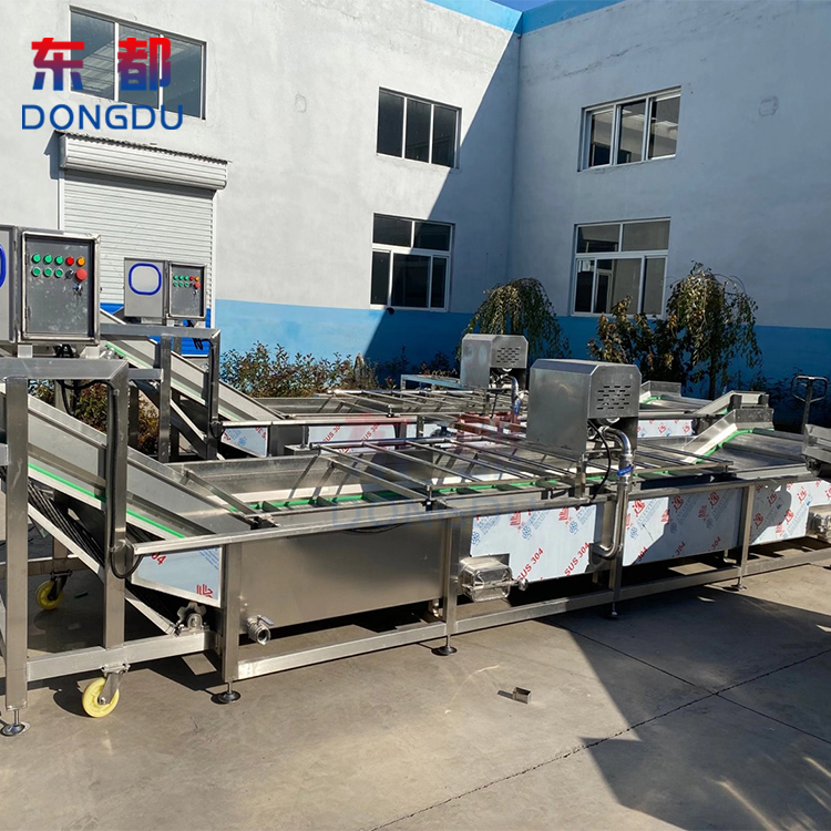 Dongdu Fully Automatic Eddy Current Cleaning Machine for Fruit and Vegetable Clean Vegetable Processing Line Central Kitchen Vegetable Washing Machine