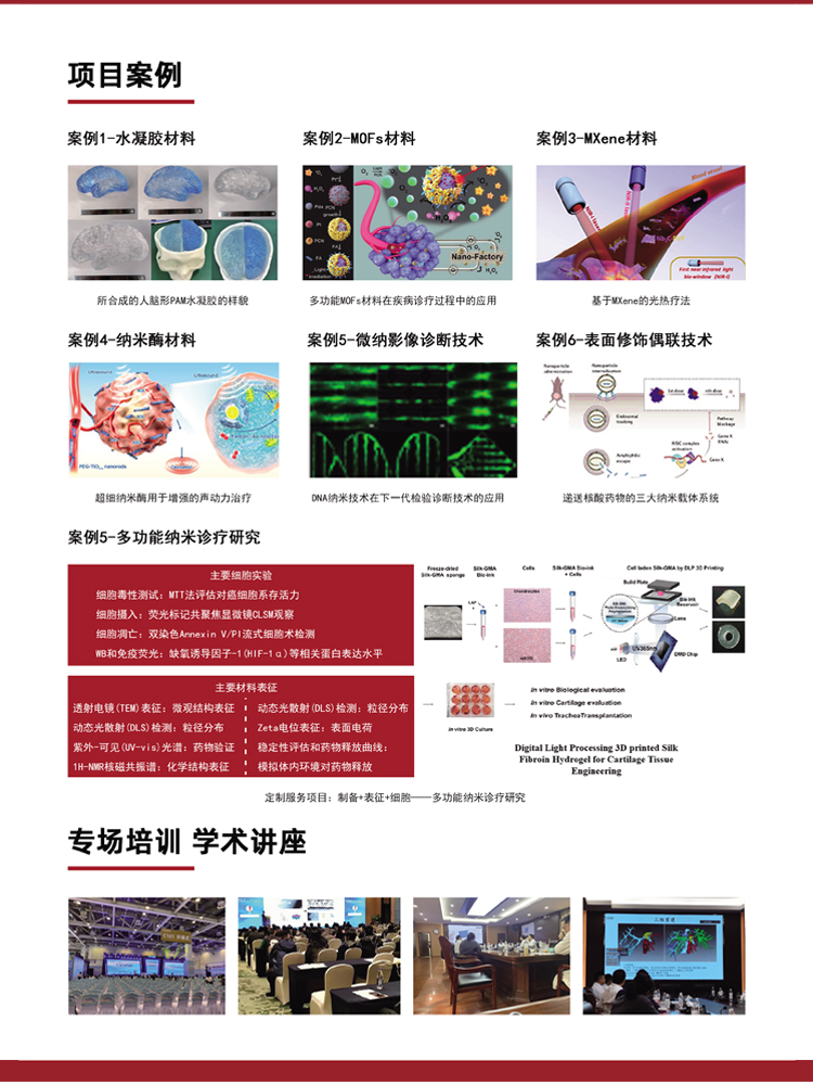 High purity nanoscale zirconia monoclinic zirconia ceramic material ZrO2