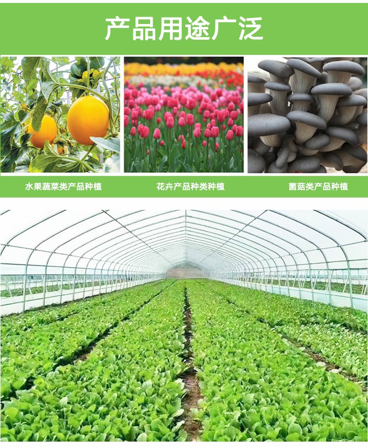 National standard galvanized pipe greenhouse skeleton specifications can be customized for professional construction of circular arch agricultural greenhouse greenhouses