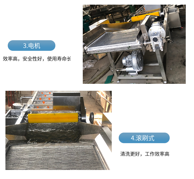 Grape bubble cleaning machine, plum high-pressure spray cleaning equipment, okra vegetable washing machine