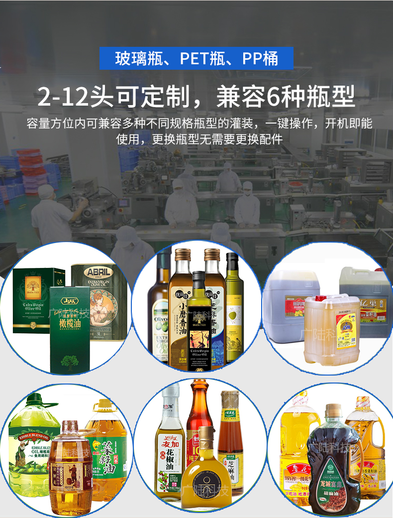 Camellia oil fully automatic filling machine 2 heads 4 heads 5 liters peanut oil tea seed oil canning equipment production line