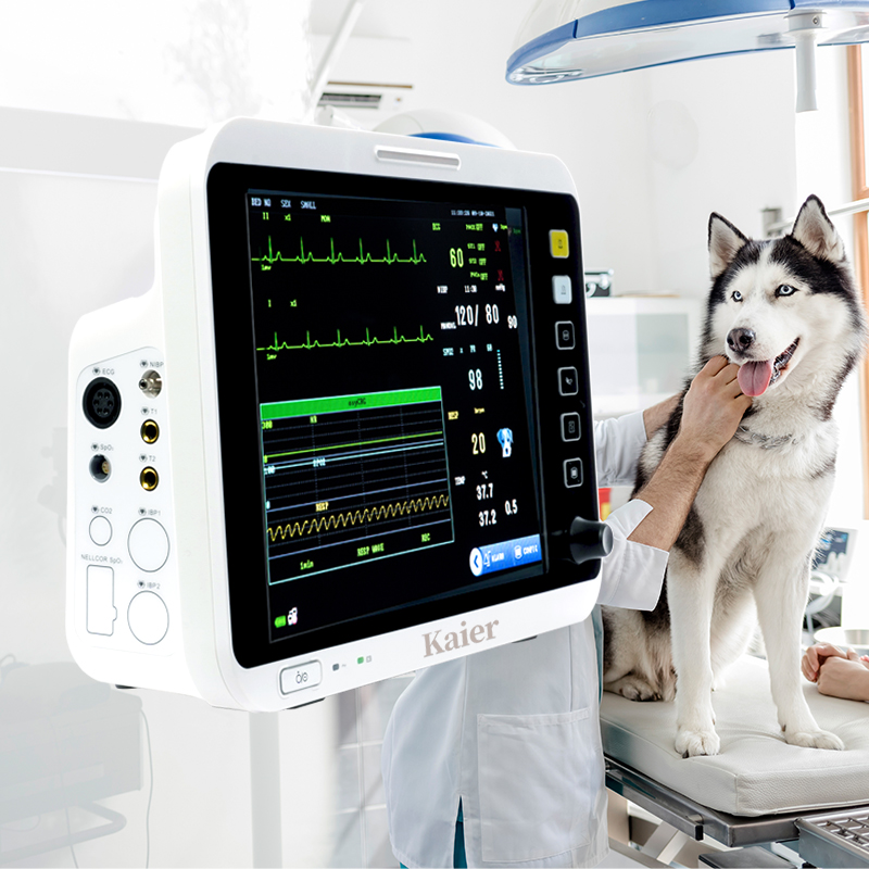 Veterinary station multi-parameter functional monitor manufacturer, ECG, blood oxygen, blood pressure portable vital sign support