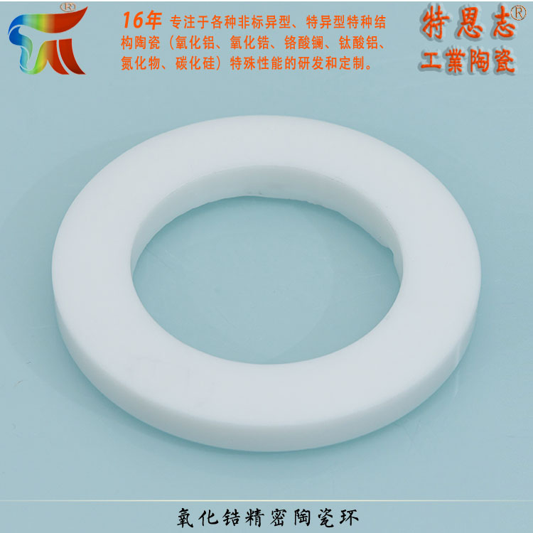 Terenz Dry Press Forming Manufacturer for Precision Zirconia Ceramic Ring Sealing