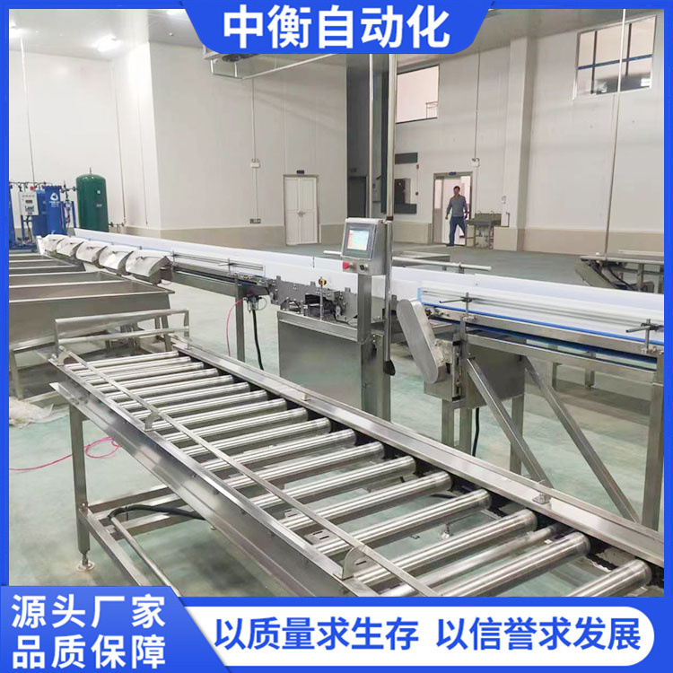 White Striped Goose Sorter Goose Sorter Big Goose Weight Grading Scale Automation Manufacturer