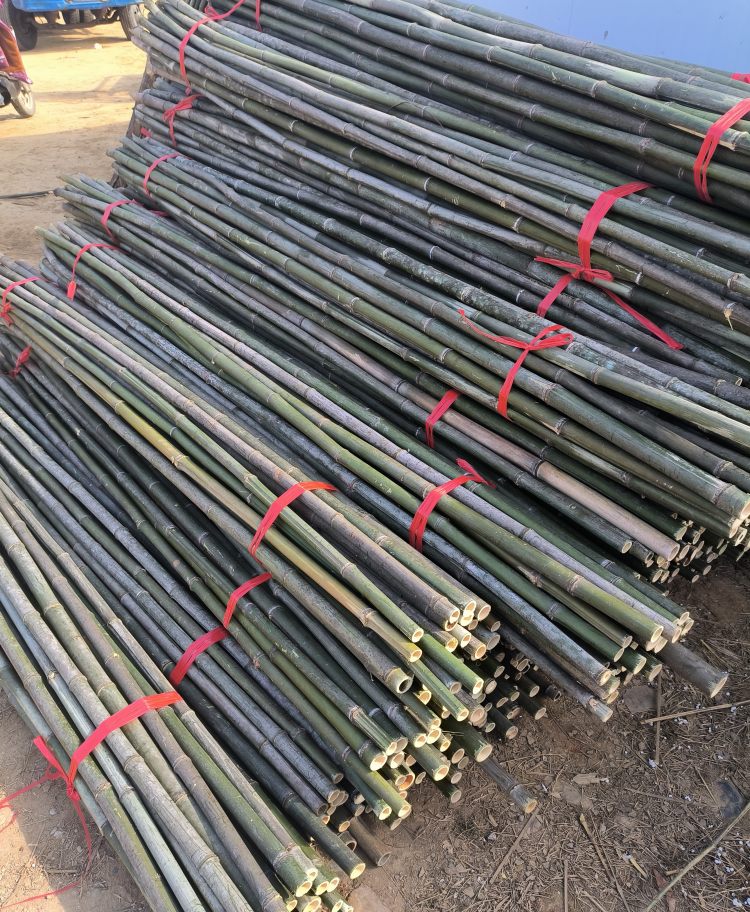 厂家现货各种瓜果蔬菜架竹杆 园林绿化支撑竿 温室竹竿竹片 定制加工