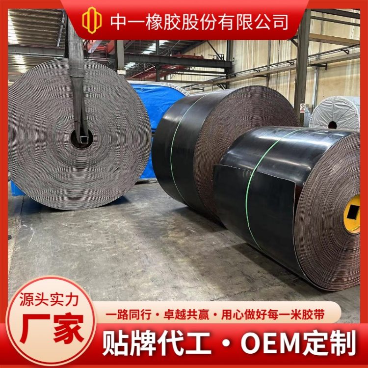 中一 耐酸碱NN尼龙输送带 用于运输PH值4-10腐蚀性物料 品质稳 工期快