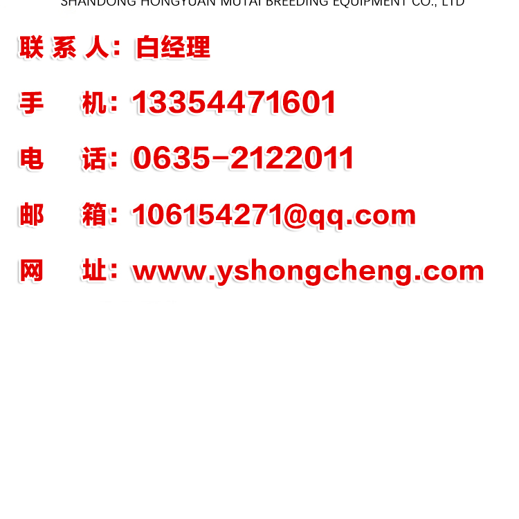 Longhai Chicken Farm Equipment Longhai Chicken Farm Equipment Automatic Feeding Equipment Quotation for Egg Chicken Meat Chicken Breeding Equipment Egg Chicken Cage Breeding Equipment Manufacturer