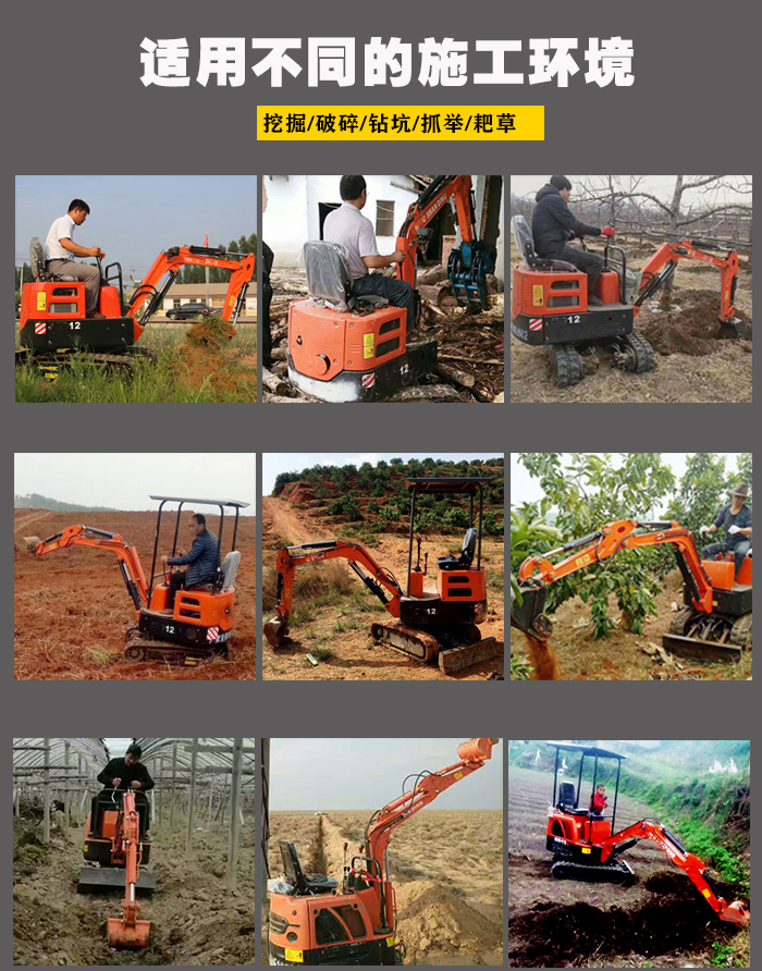 Domestic Davo 12D Small Excavator for Orchard Excavation and Tree Moving