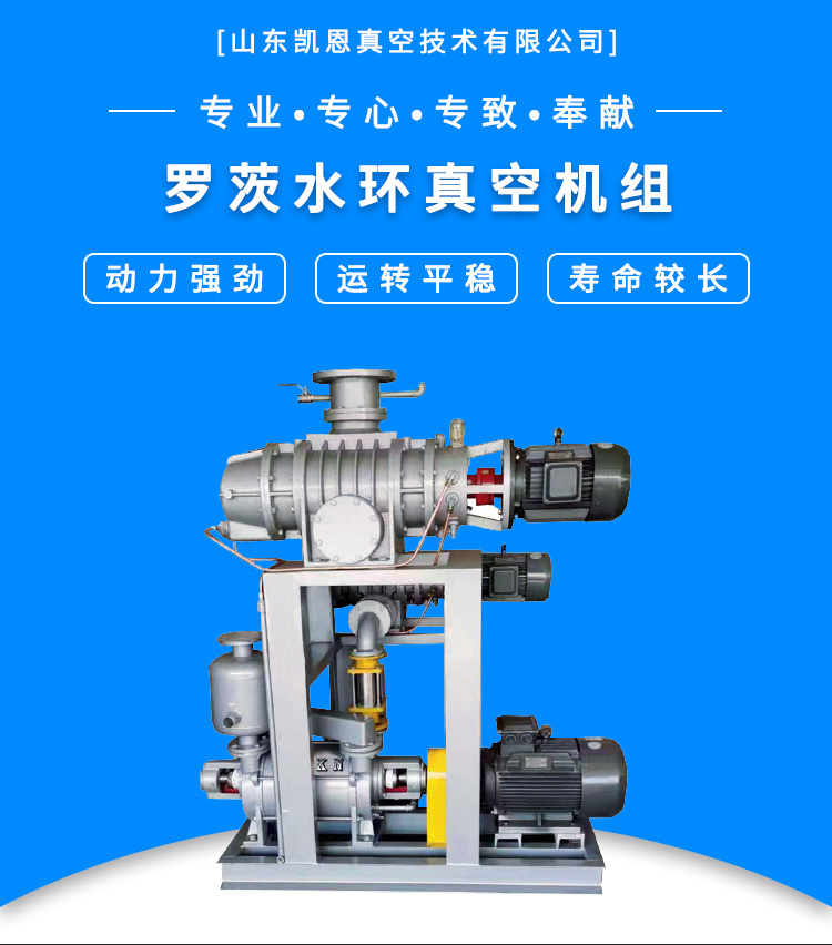 Kane vacuum unit industrial water circulation pump negative pressure pump stainless steel pump