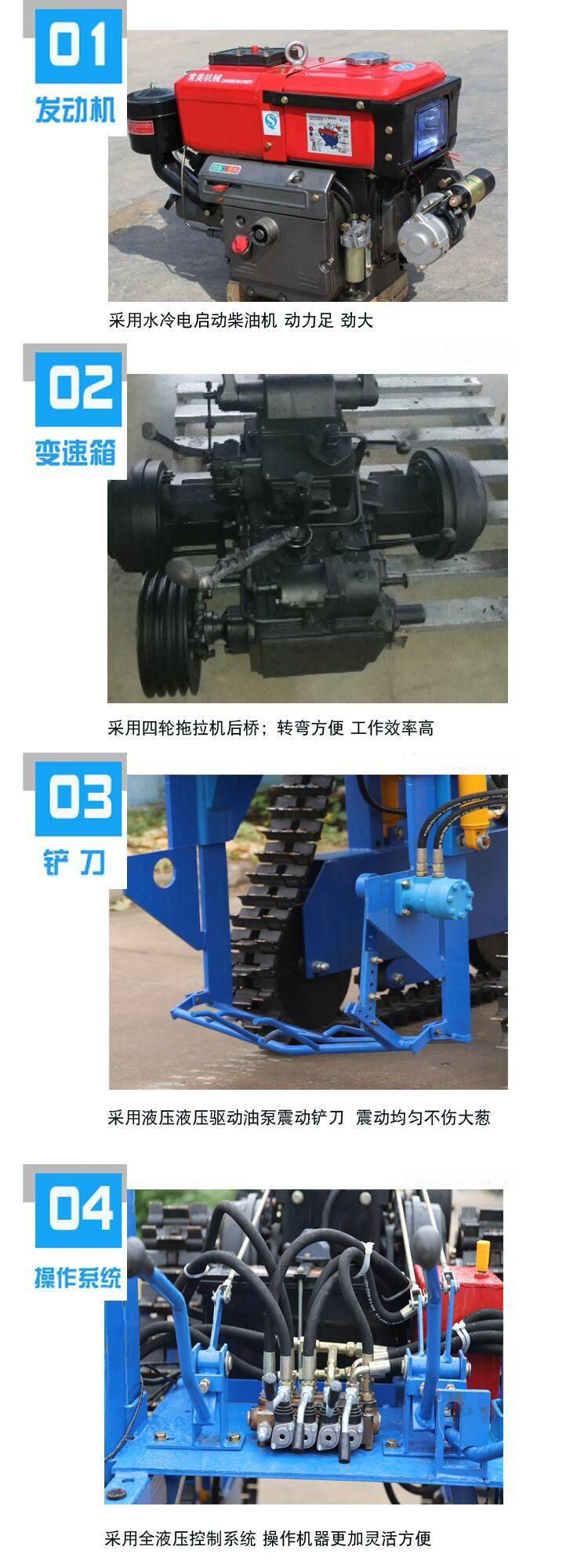 Fully hydraulic operated walking track type vegetable harvesting machine for picking and digging scallions and ginger, and for harvesting large scallions and ginger