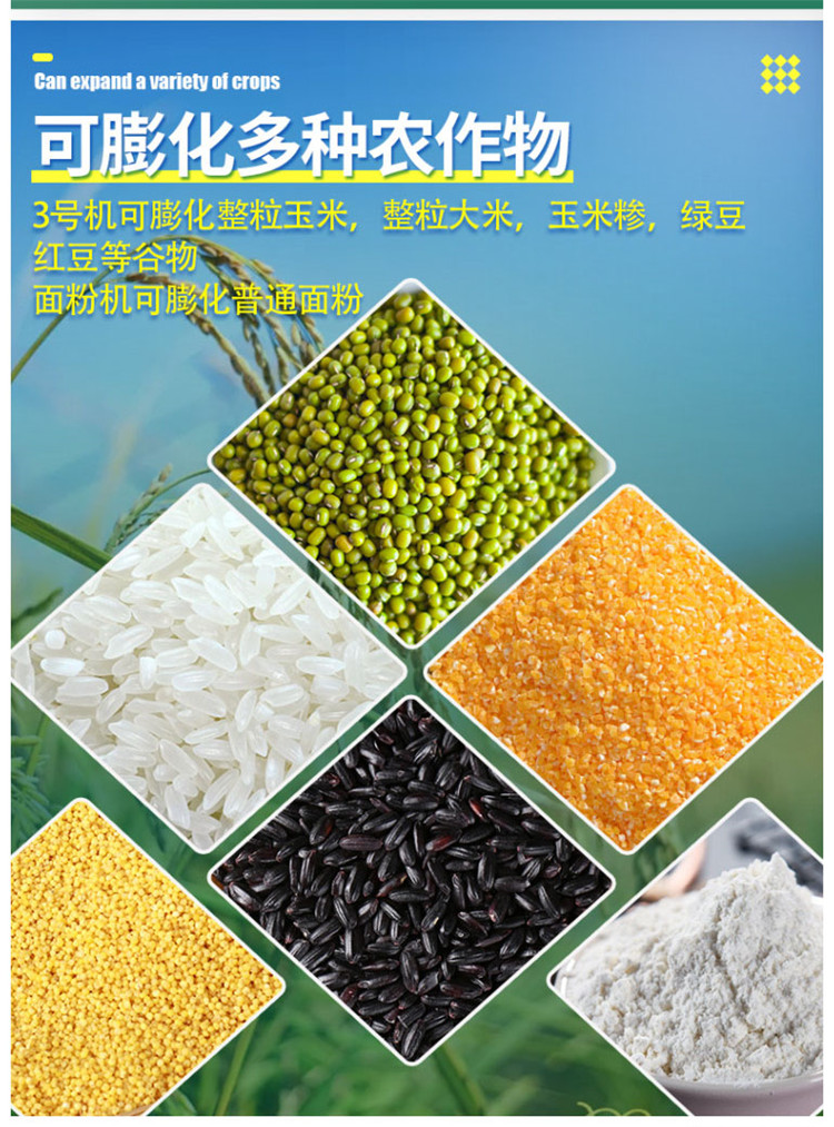 Rice stick expander, gasoline engine, rice hollow stick machine, bent pipe type, Fried Dough Twists type, peanut type