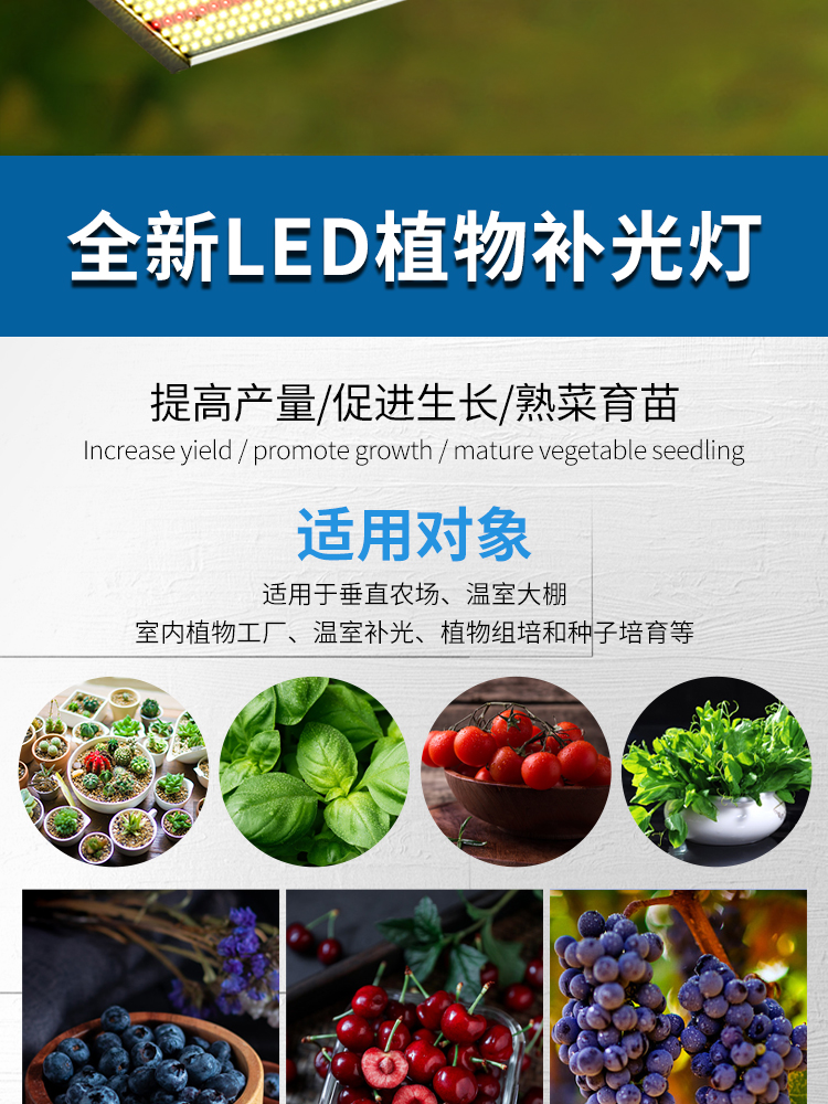 Grow light full spectrum complementary lamp foreign trade cross-border export quantum board plant lamp