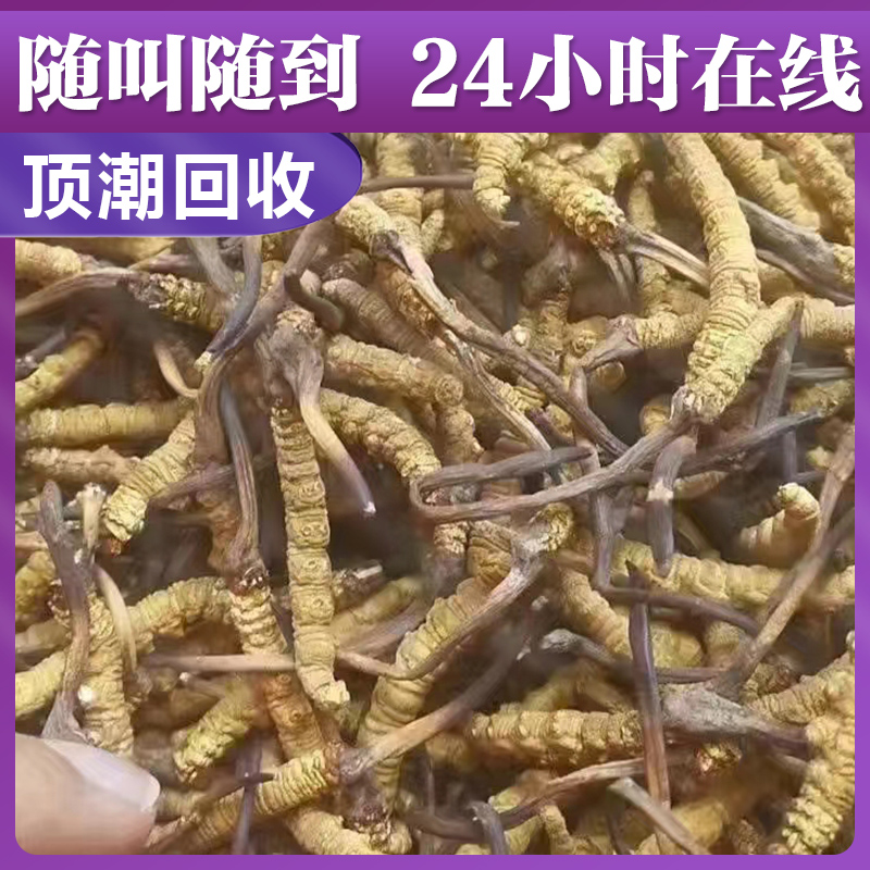 高档虫草礼品回收 快