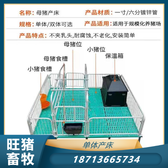 Single sow production bed pig breeding equipment logistics shipment hot-dip galvanized pipe welding Wang pig livestock