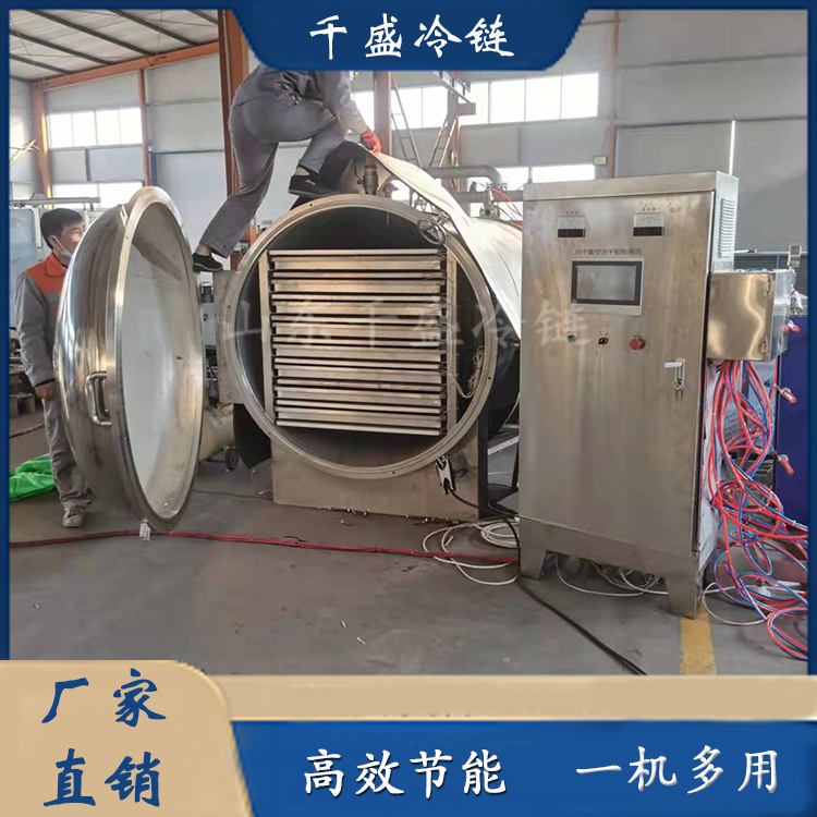 20 square meters multifunctional fruit freeze-drying machine vacuum low-temperature freeze-drying instant food freeze-drying equipment