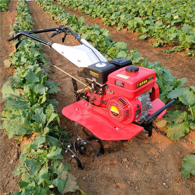 Diesel rotary tiller for plowing, ditching, loosening, and plowing, vegetable garden walking micro tiller, four-wheel drive diesel deep tiller