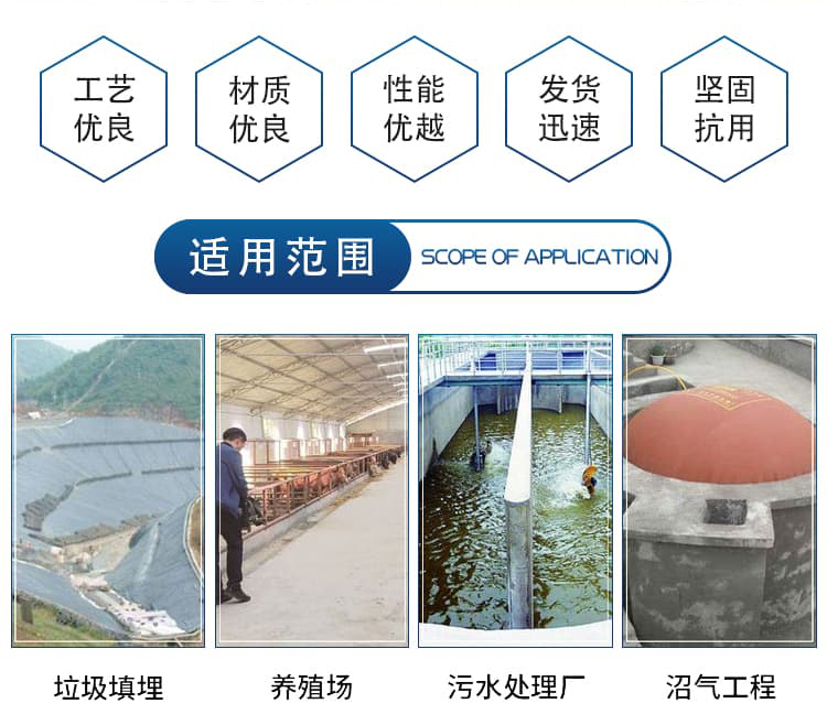 Biogas internal combustion torch small fully automated combustible gas combustion emission equipment anaerobic incinerator