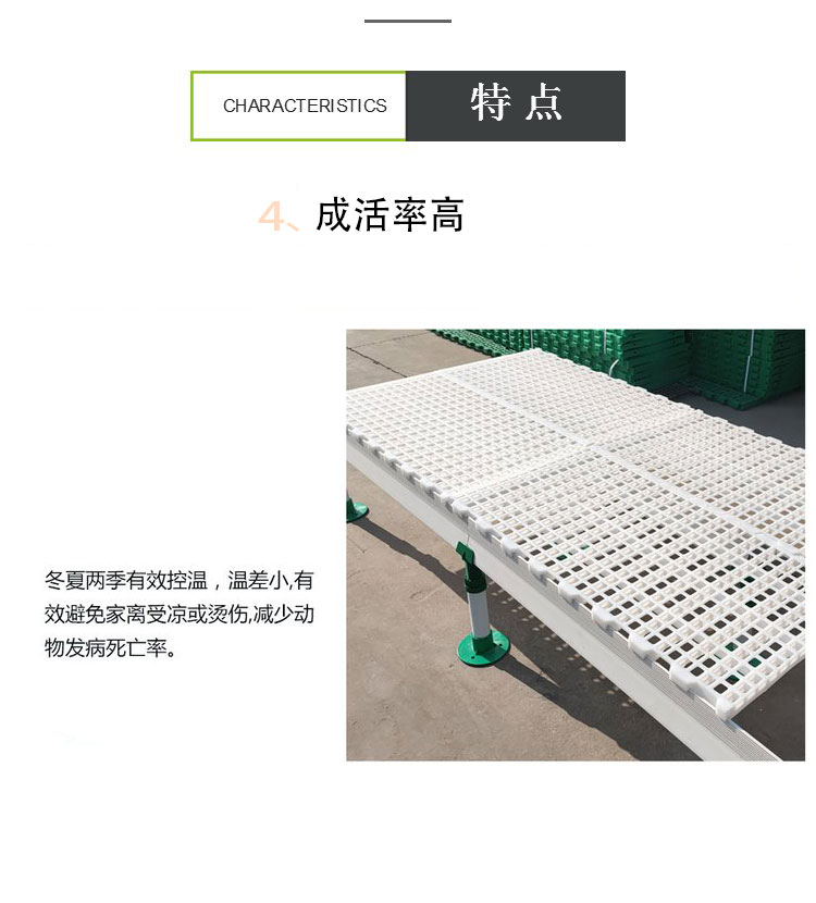 Breeding equipment: Sheep manure leakage board, plastic elevated bed, Jiahang pig manure cleaning board, 60 * 60 specification, double rib thickened