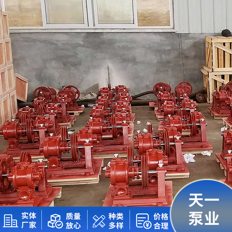 Rotary pump 50H rotary oil pump is suitable for conveying media, and the concave and convex wheels can be customized for Tianyi Pump Industry