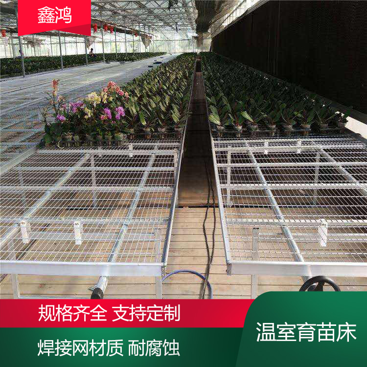 Greenhouse mobile seedling bed tidal cultivation of flowers and vegetables with complete specifications and customization